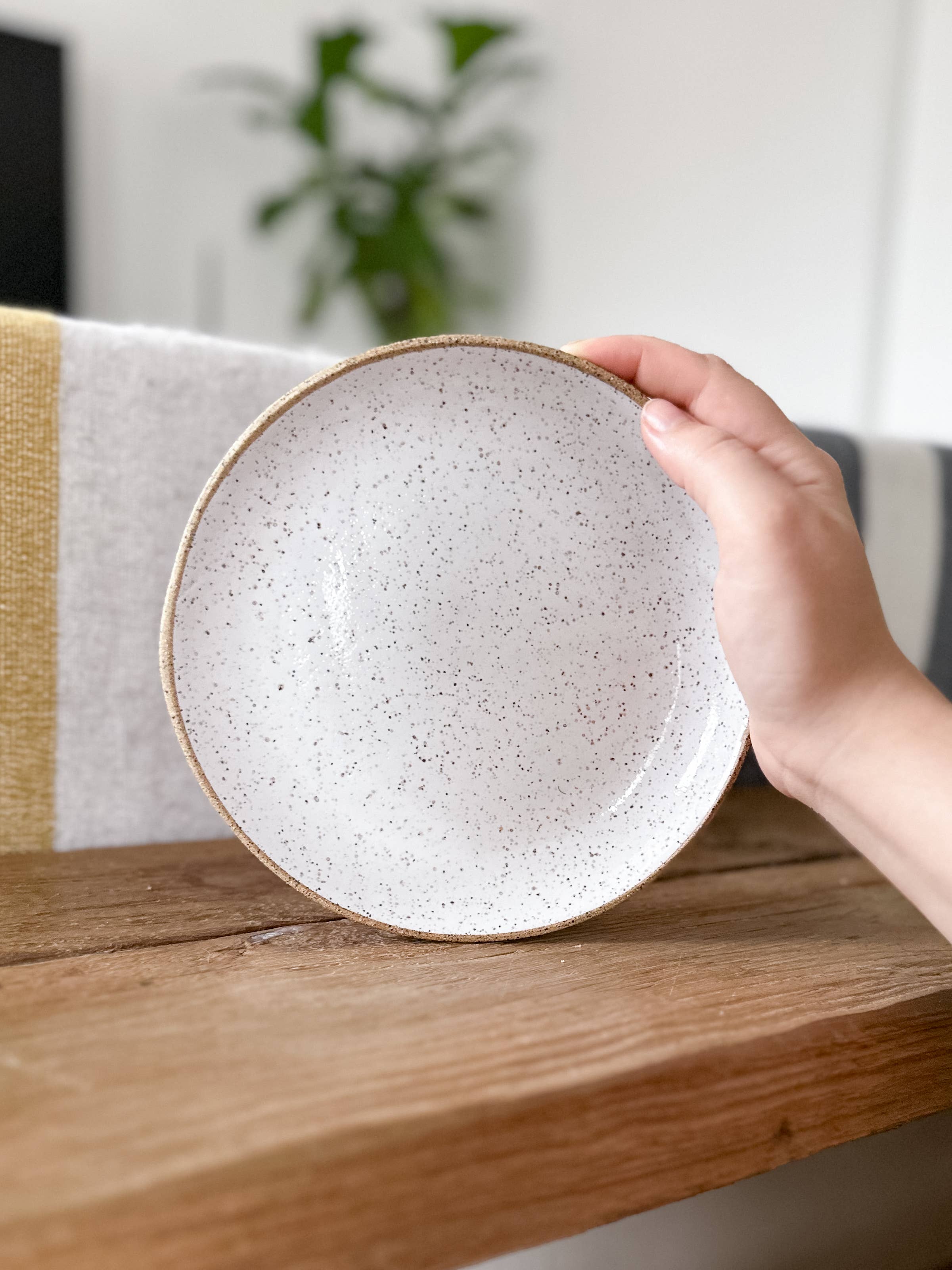Speckled Dinner Plate