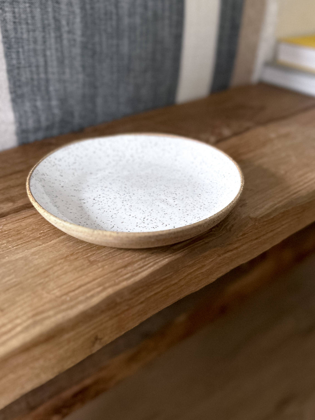 Speckled Dinner Plate